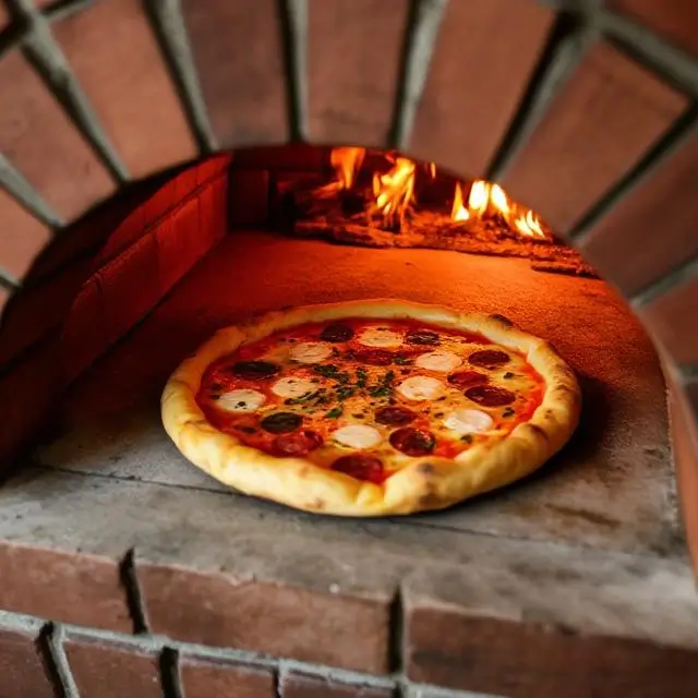 Pizza in a wood-fired oven